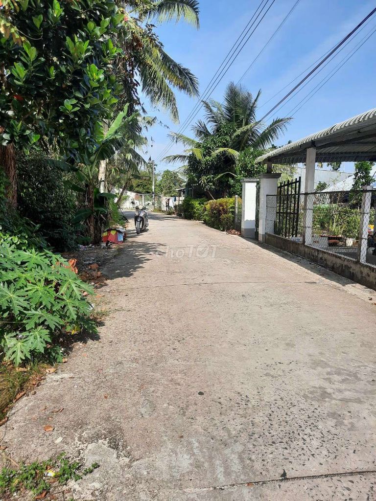 4327667 ảnh đại diện 2