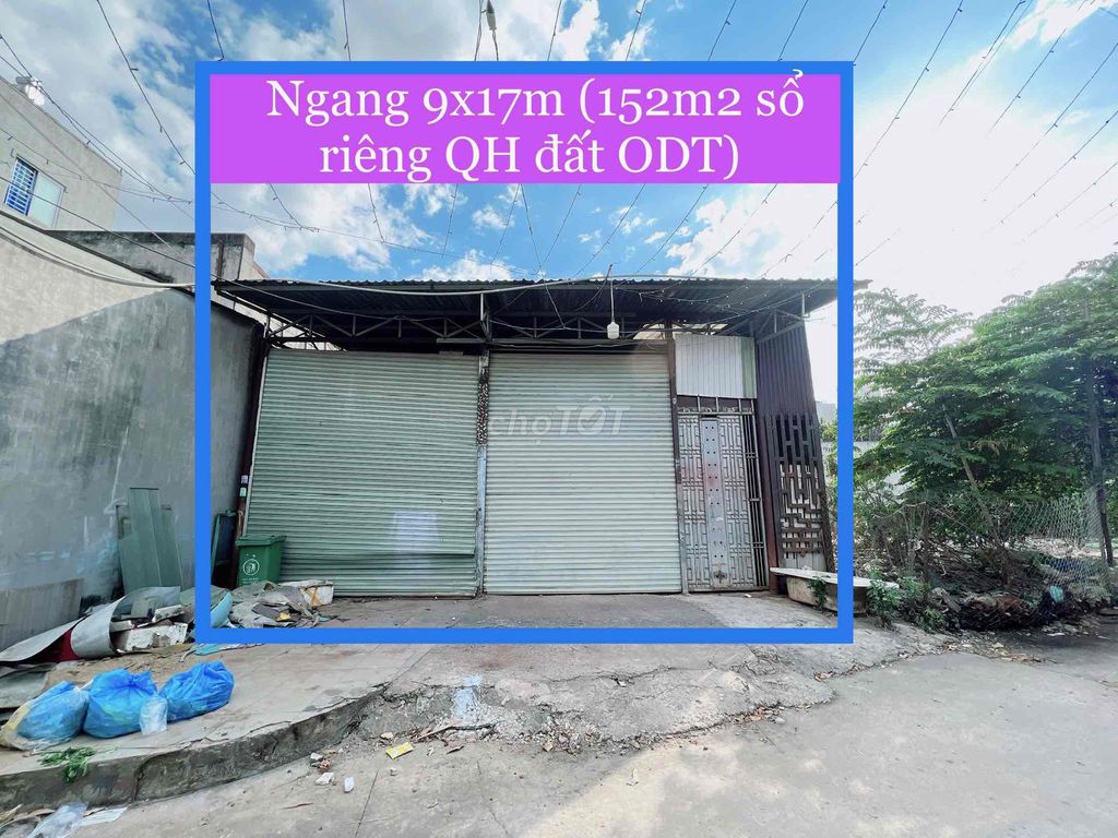 4332174 ảnh đại diện 1