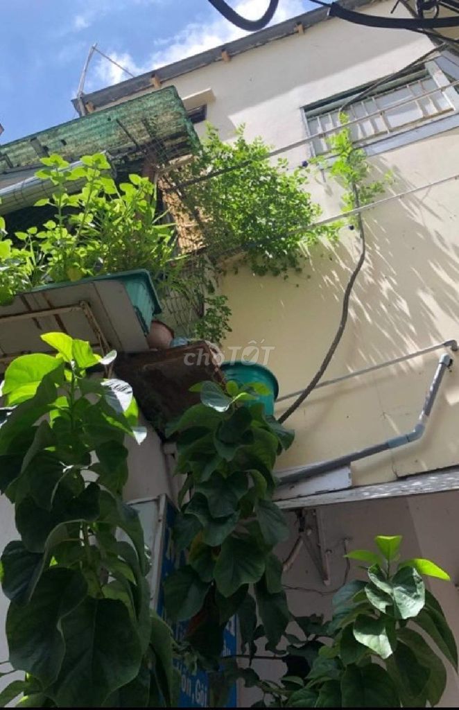 4331586 ảnh đại diện 1
