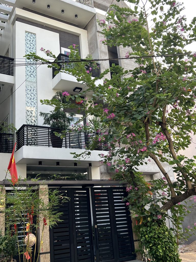 4329255 ảnh đại diện 1