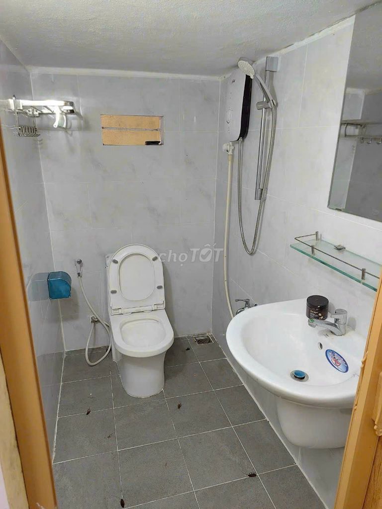 4335003 ảnh đại diện 2