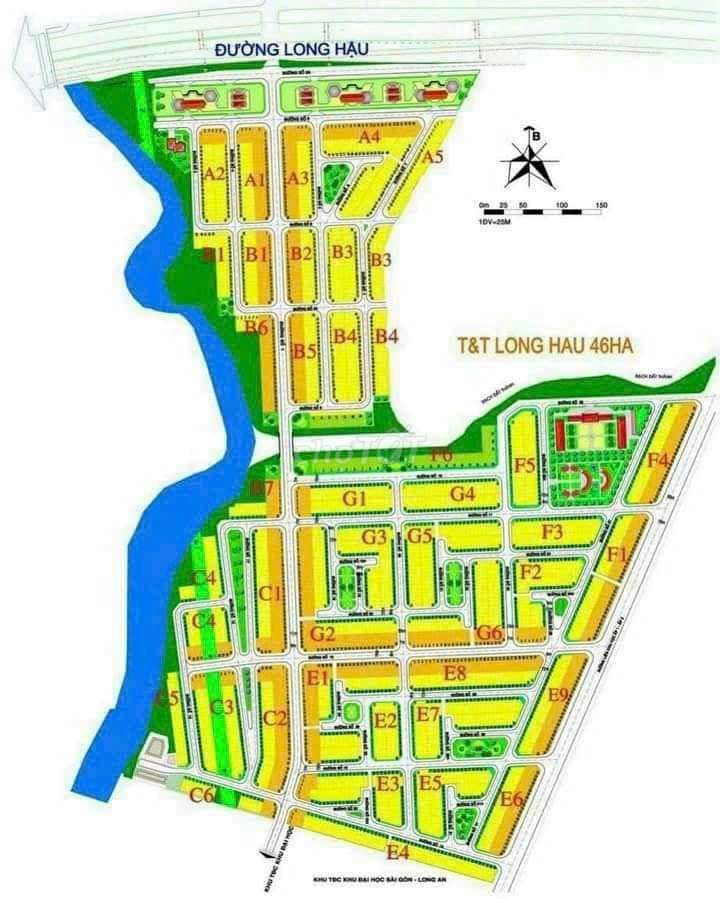 4333117 ảnh đại diện 1