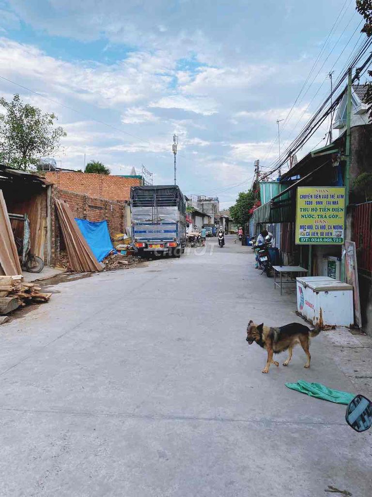 4332177 ảnh đại diện 1