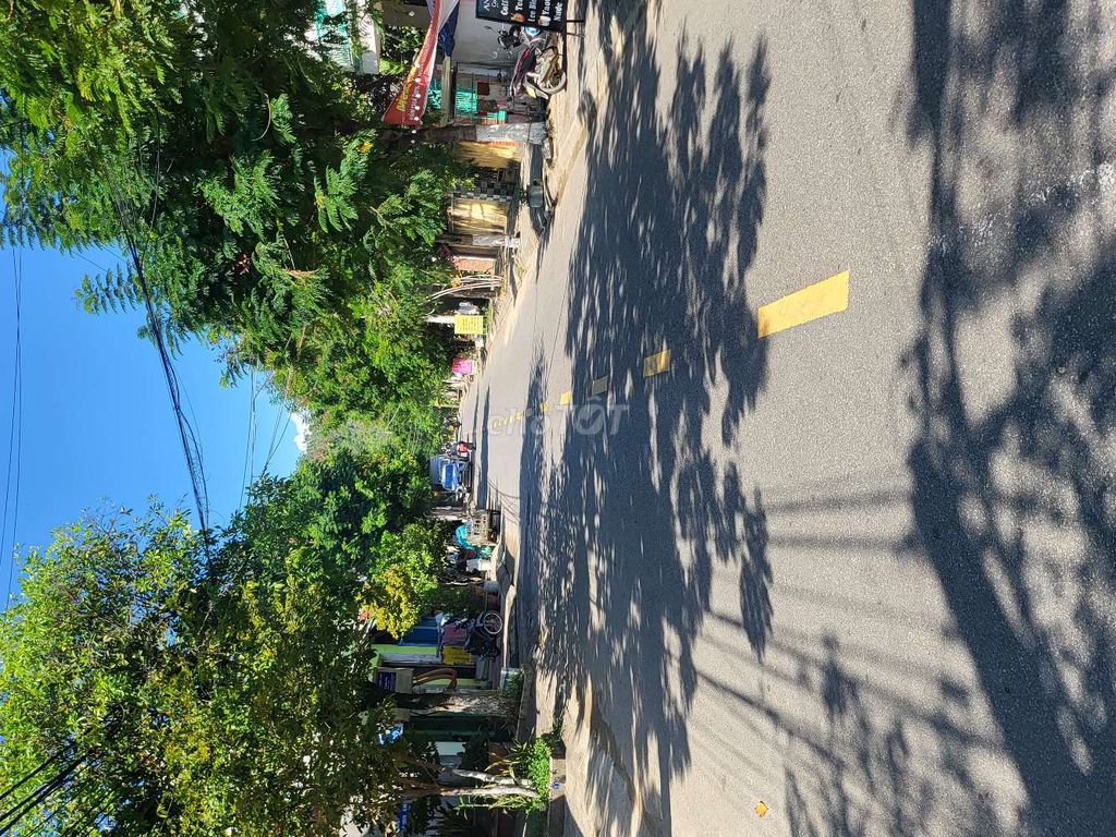 4333111 ảnh đại diện 1
