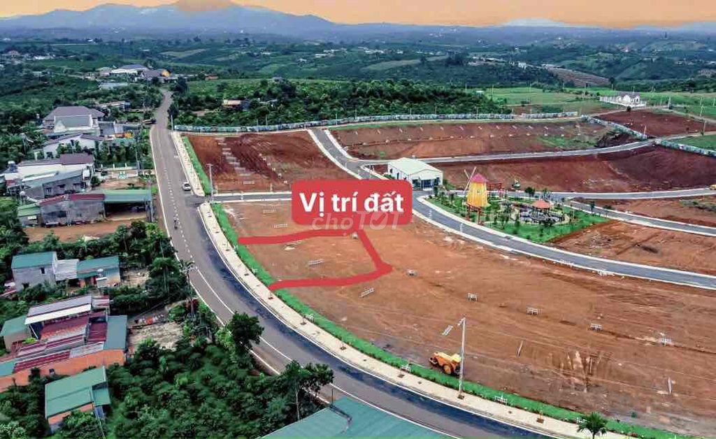 4327969 ảnh đại diện 1