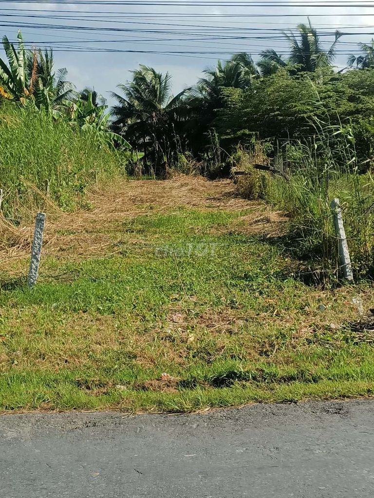 4329507 ảnh đại diện 1