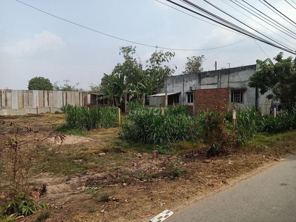 4330492 ảnh đại diện 1