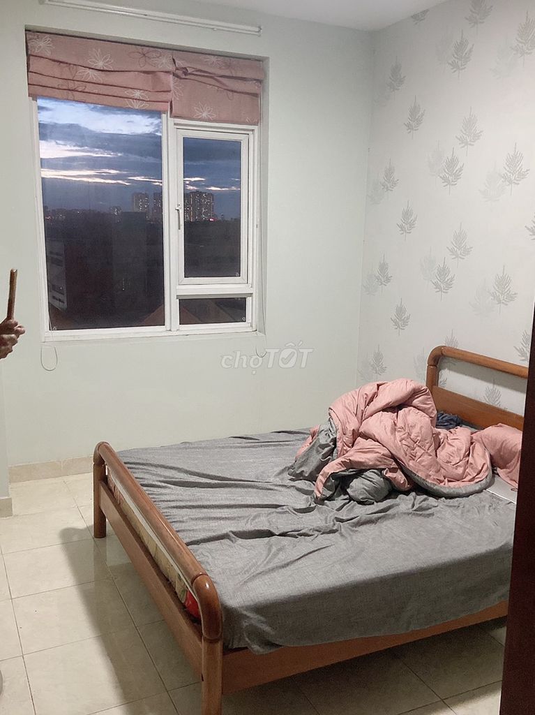 4334431 ảnh đại diện 2