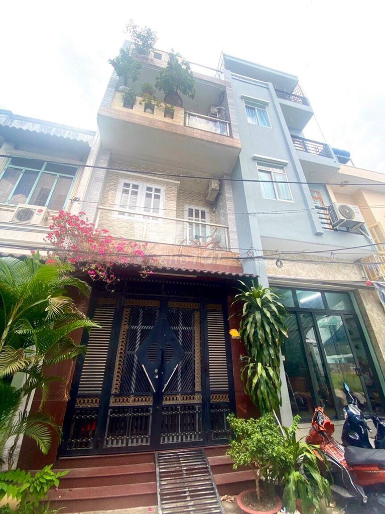 4330733 ảnh đại diện 1