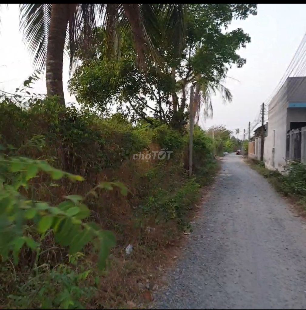 4330497 ảnh đại diện 1