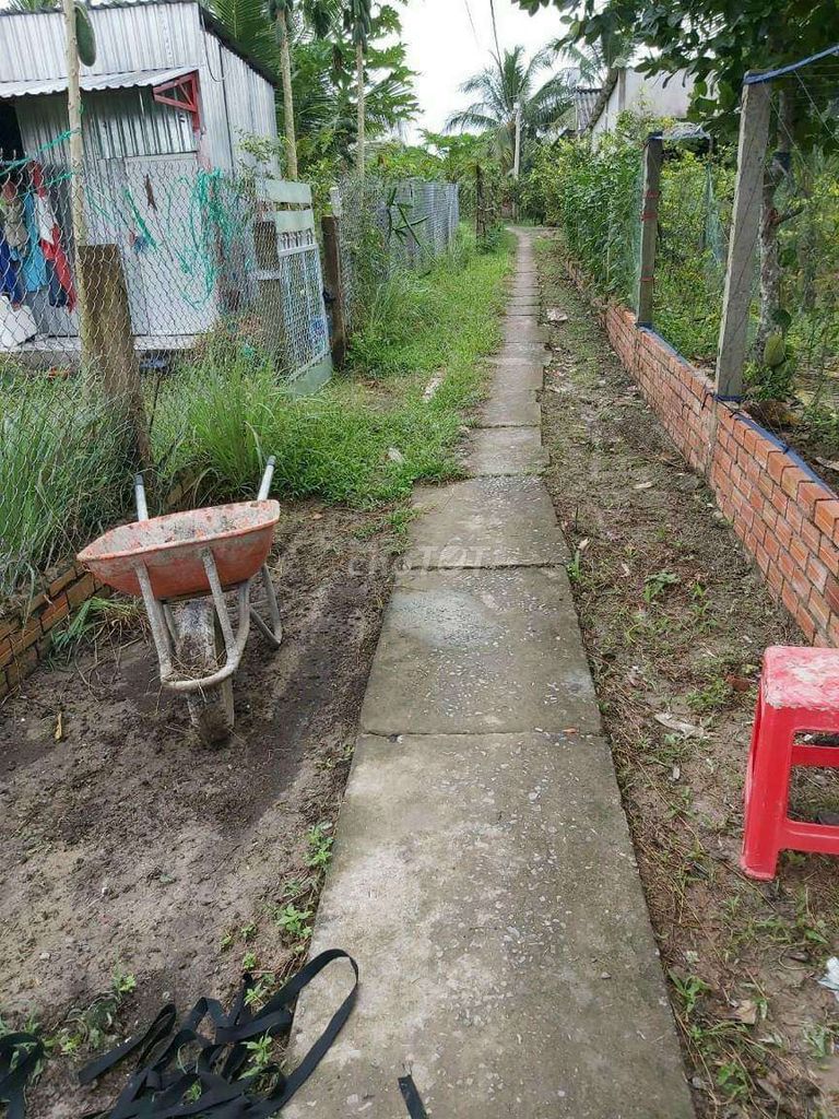 4329835 ảnh đại diện 1