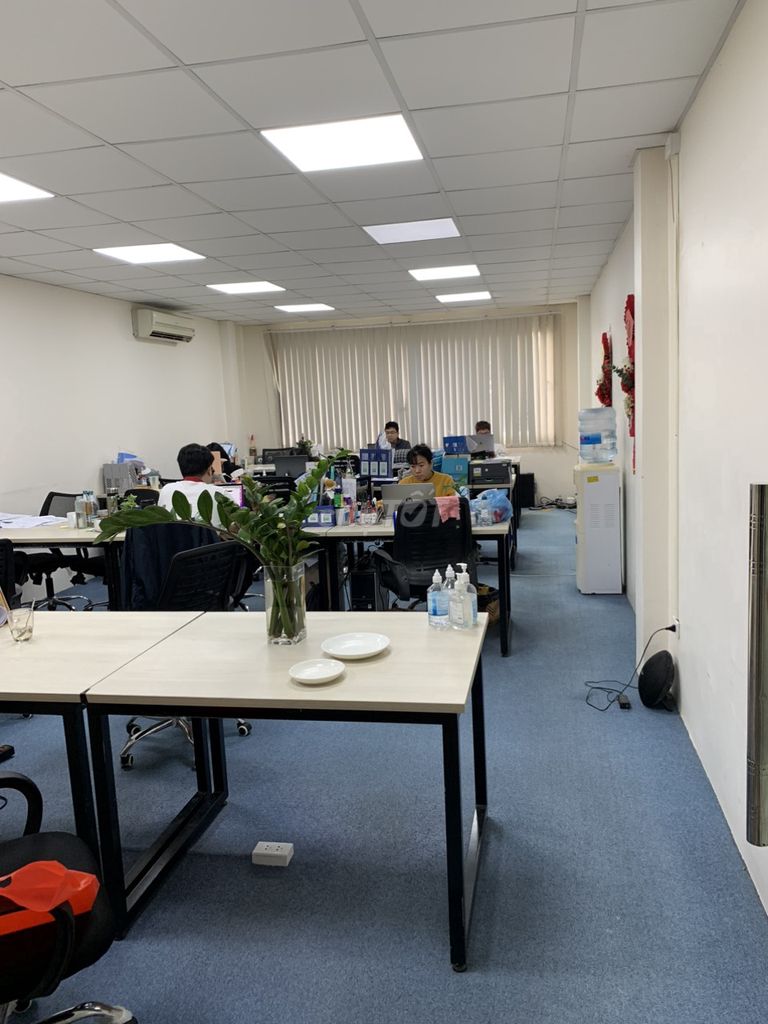 4332515 ảnh đại diện 2