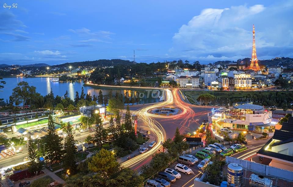 4329079 ảnh đại diện 1
