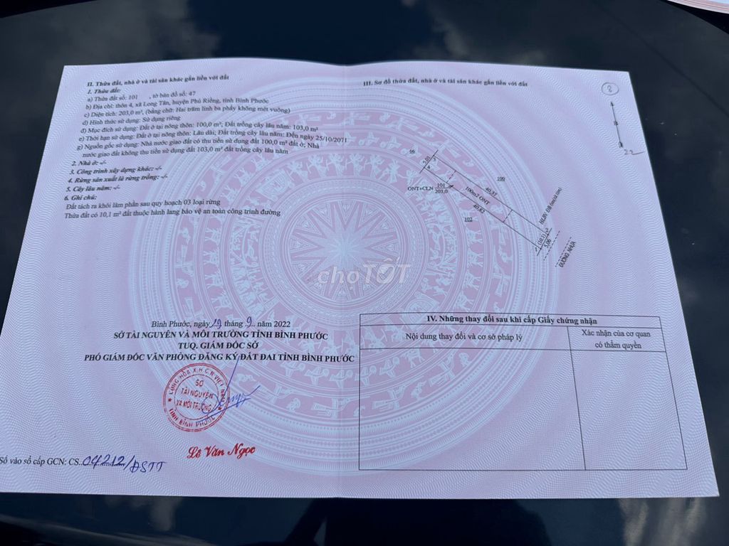 4330616 ảnh đại diện 1