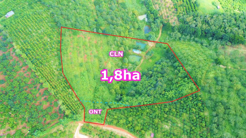 4330434 ảnh đại diện 1