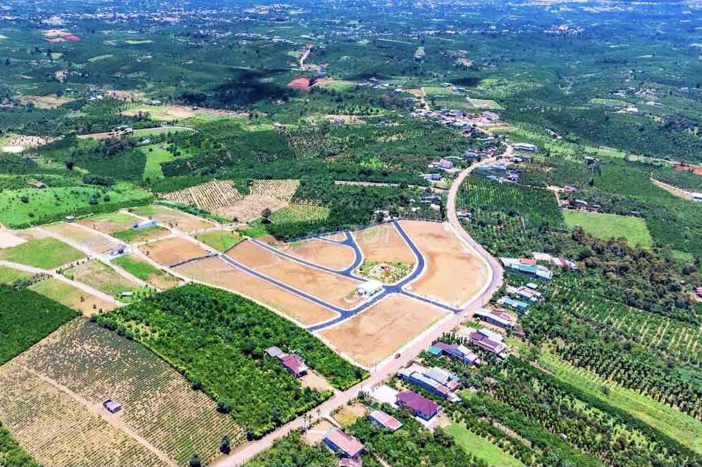 4327969 ảnh đại diện 2