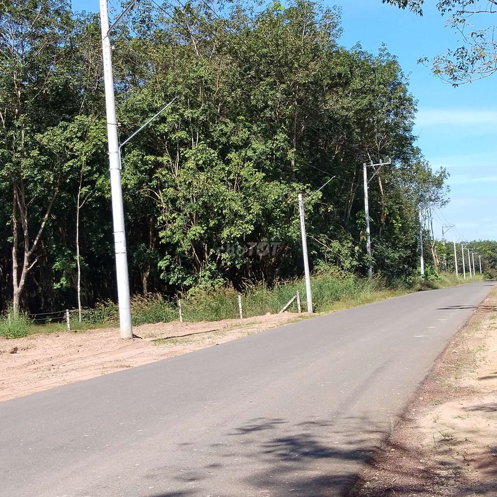 4331580 ảnh đại diện 2