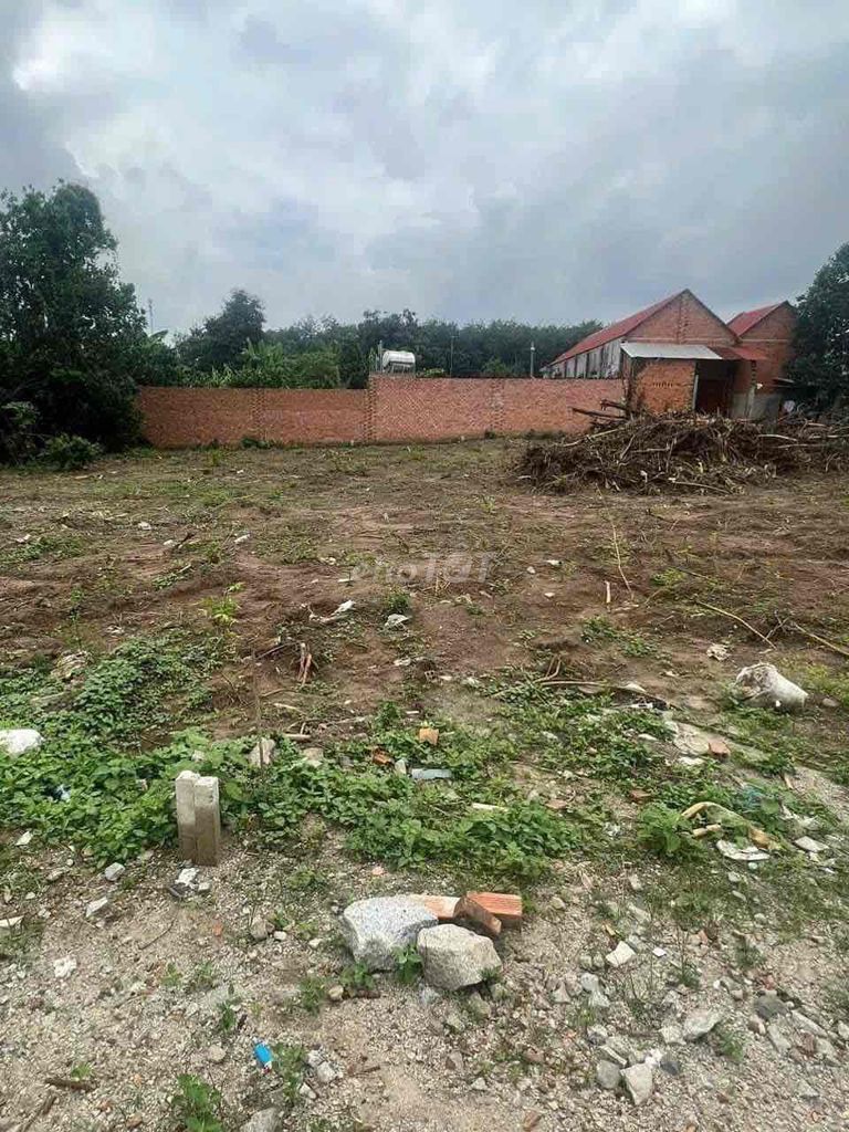 4327518 ảnh đại diện 1