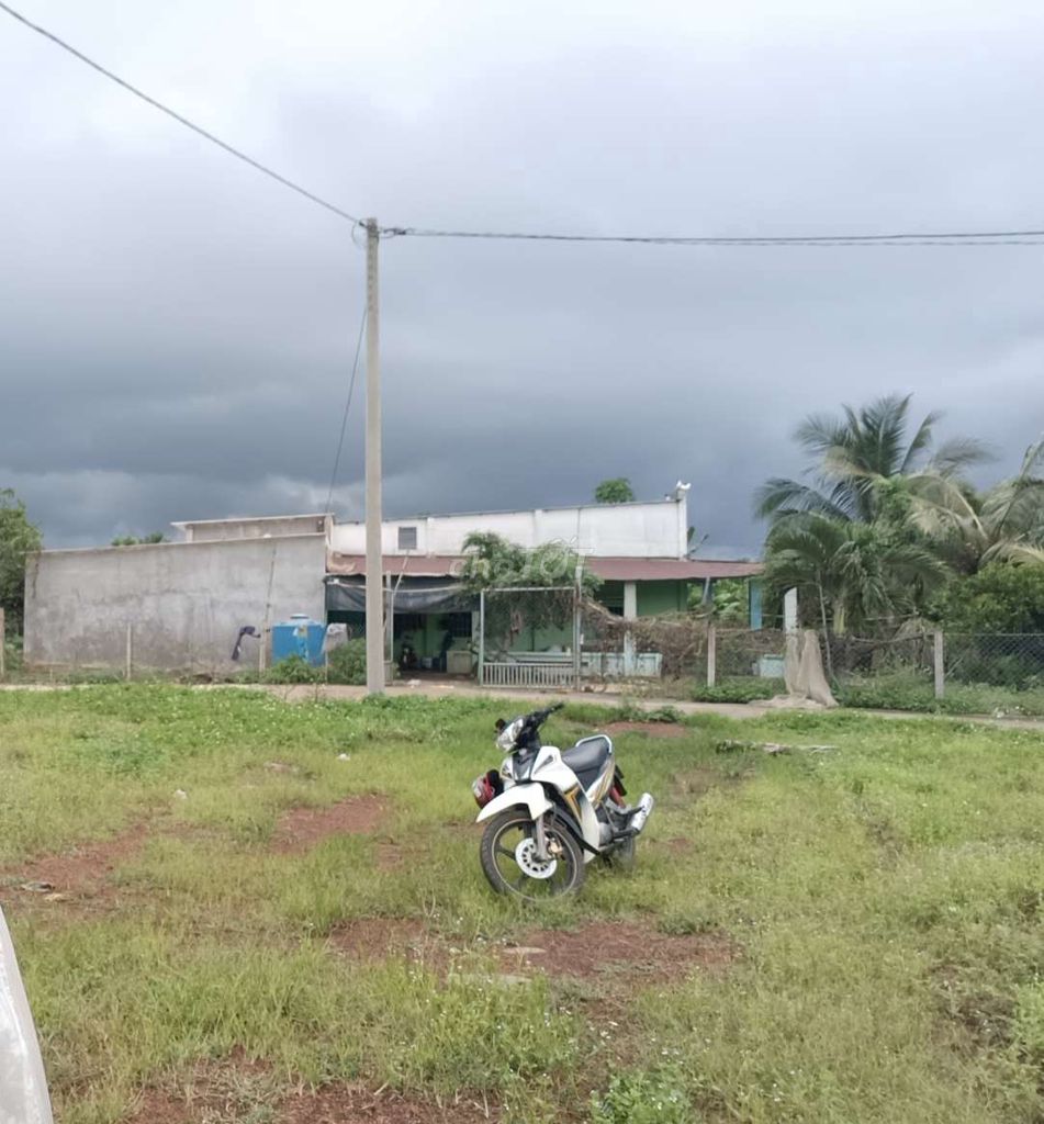 4330381 ảnh đại diện 2