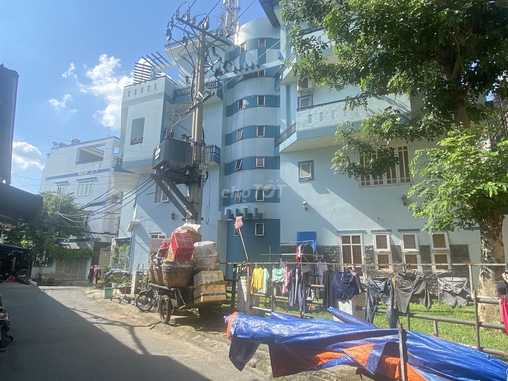 4330859 ảnh đại diện 1
