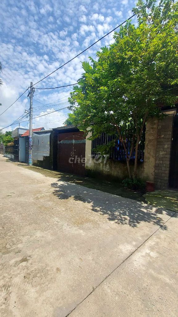4328657 ảnh đại diện 1