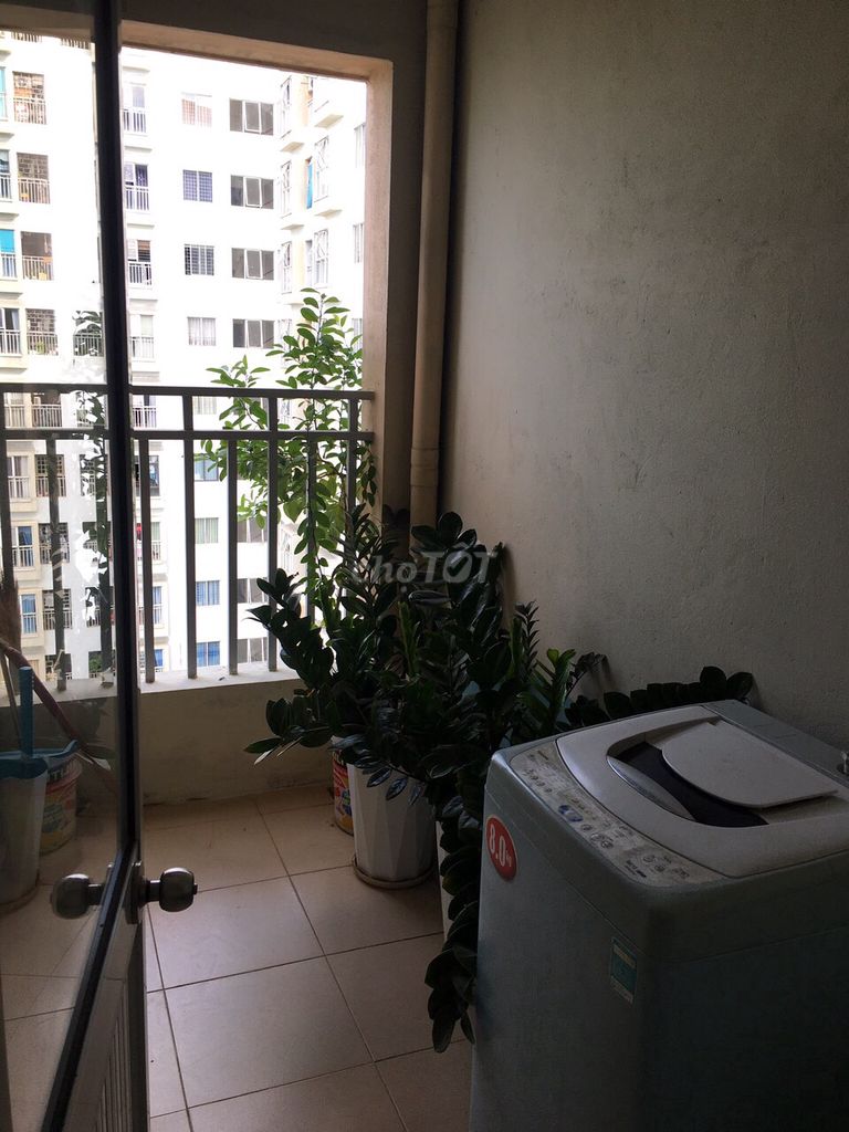 4332087 ảnh đại diện 2