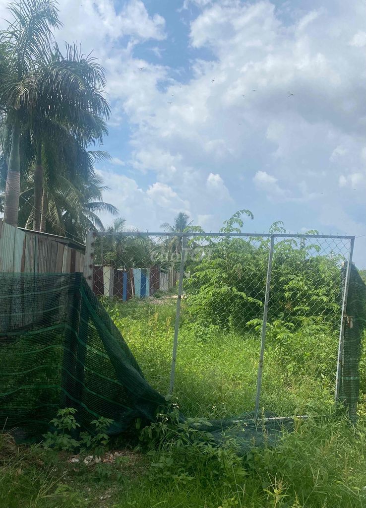 4327753 ảnh đại diện 1