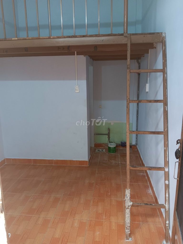 4329294 ảnh đại diện 1