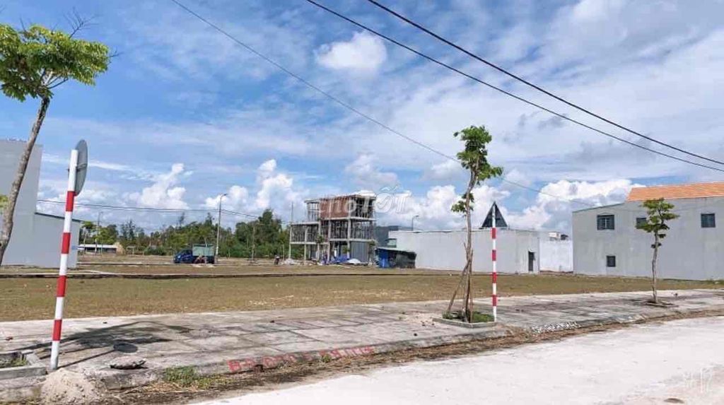 4330231 ảnh đại diện 2