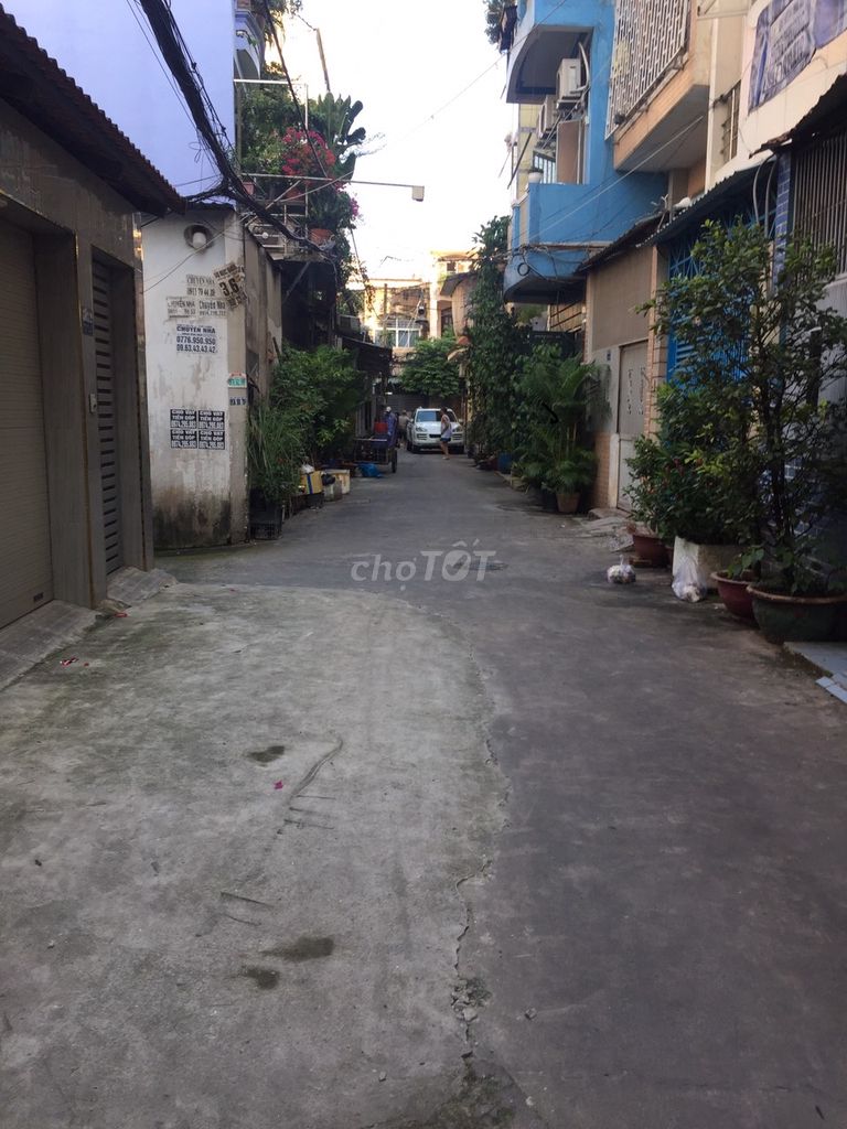 4329027 ảnh đại diện 2