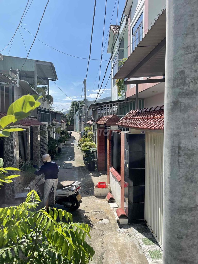 4327659 ảnh đại diện 2