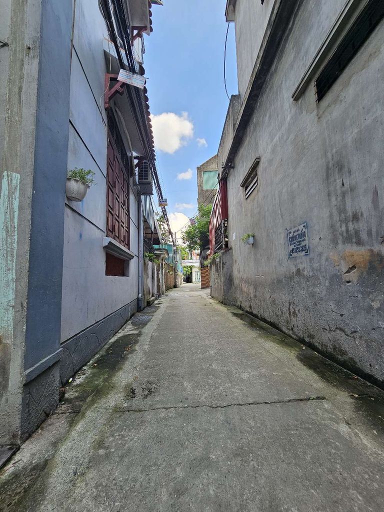 4328233 ảnh đại diện 2