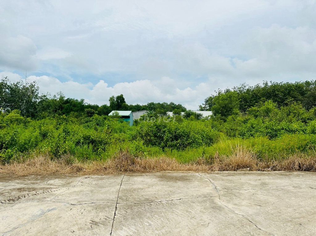 4328102 ảnh đại diện 2
