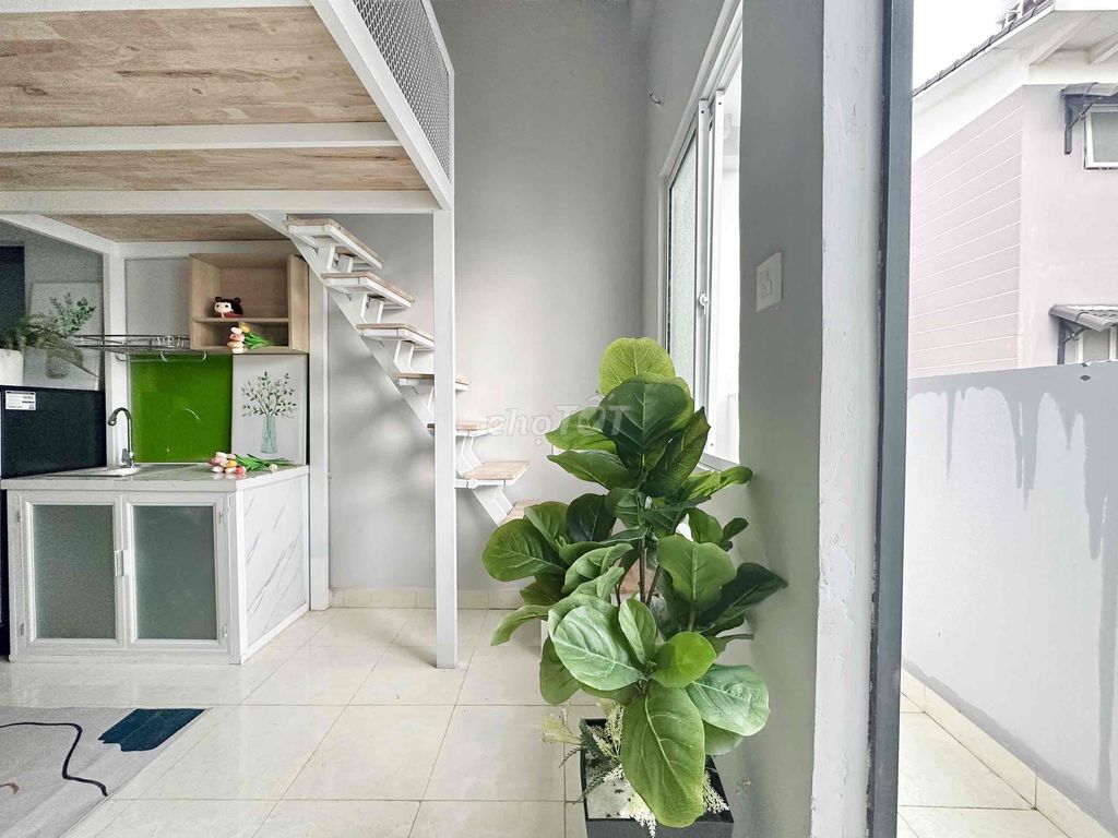 4328276 ảnh đại diện 2