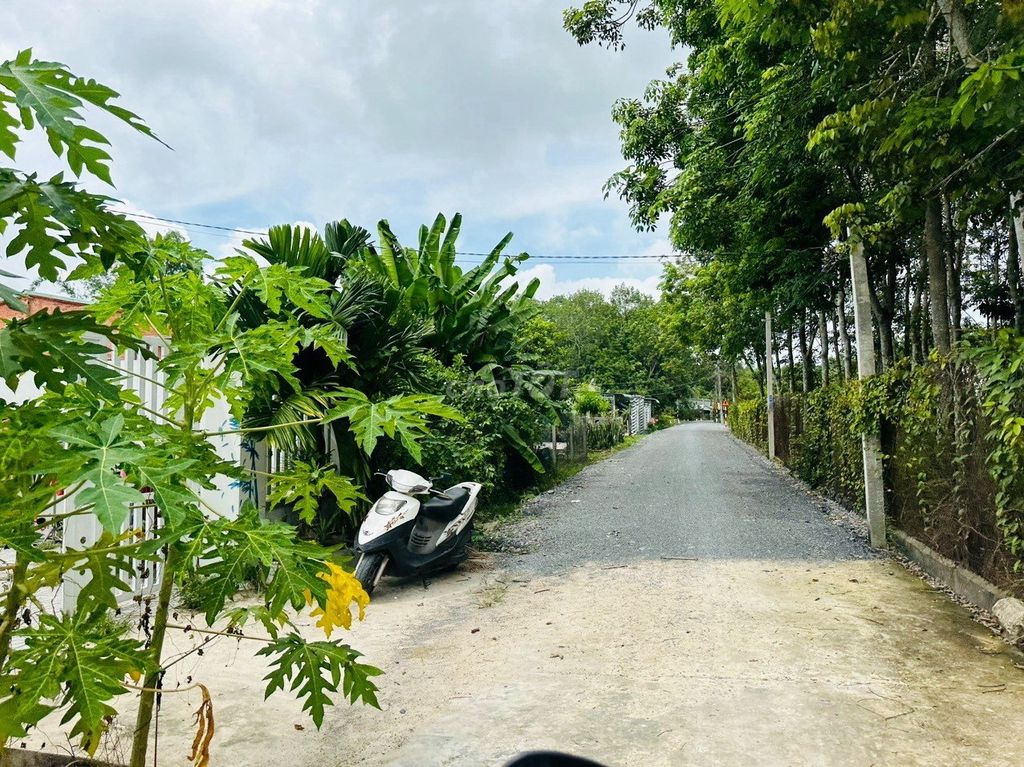 4328102 ảnh đại diện 1