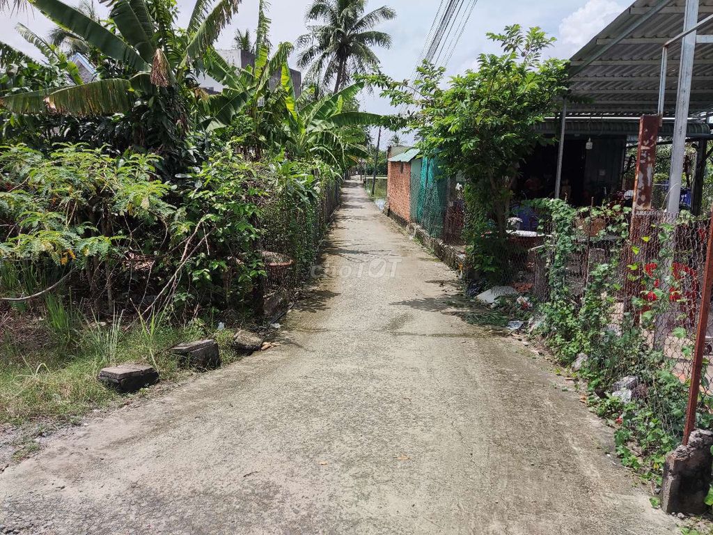 4328064 ảnh đại diện 1