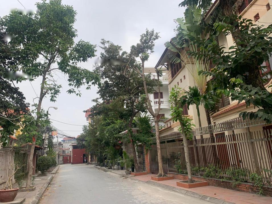 4328347 ảnh đại diện 1
