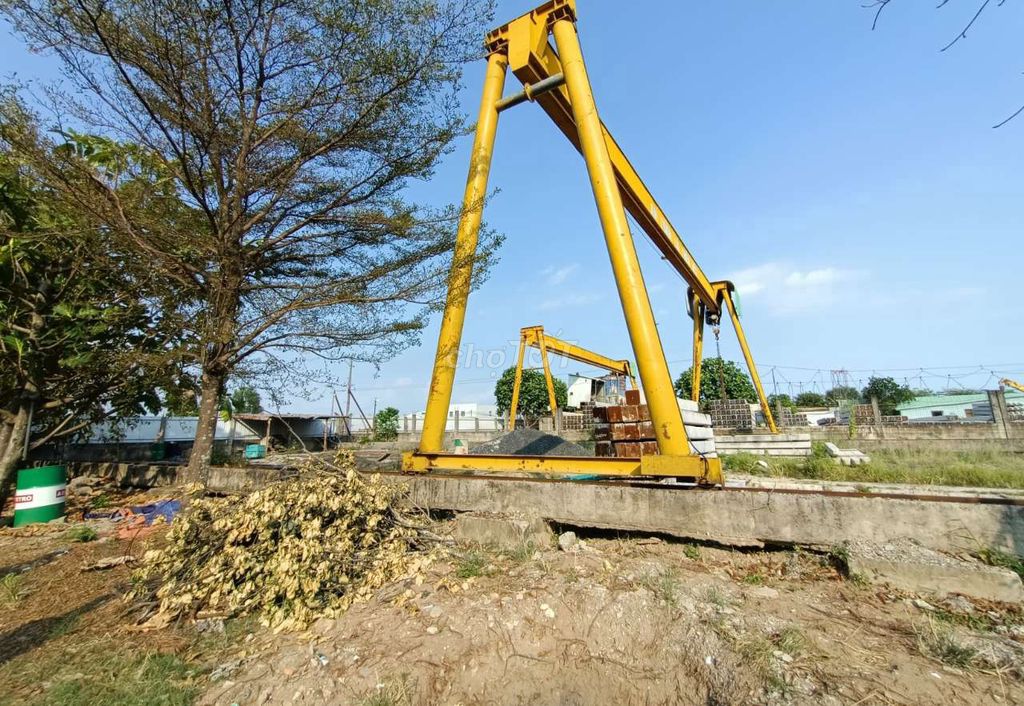4329264 ảnh đại diện 2
