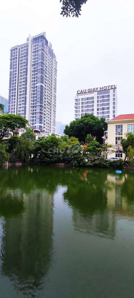 4330583 ảnh đại diện 1