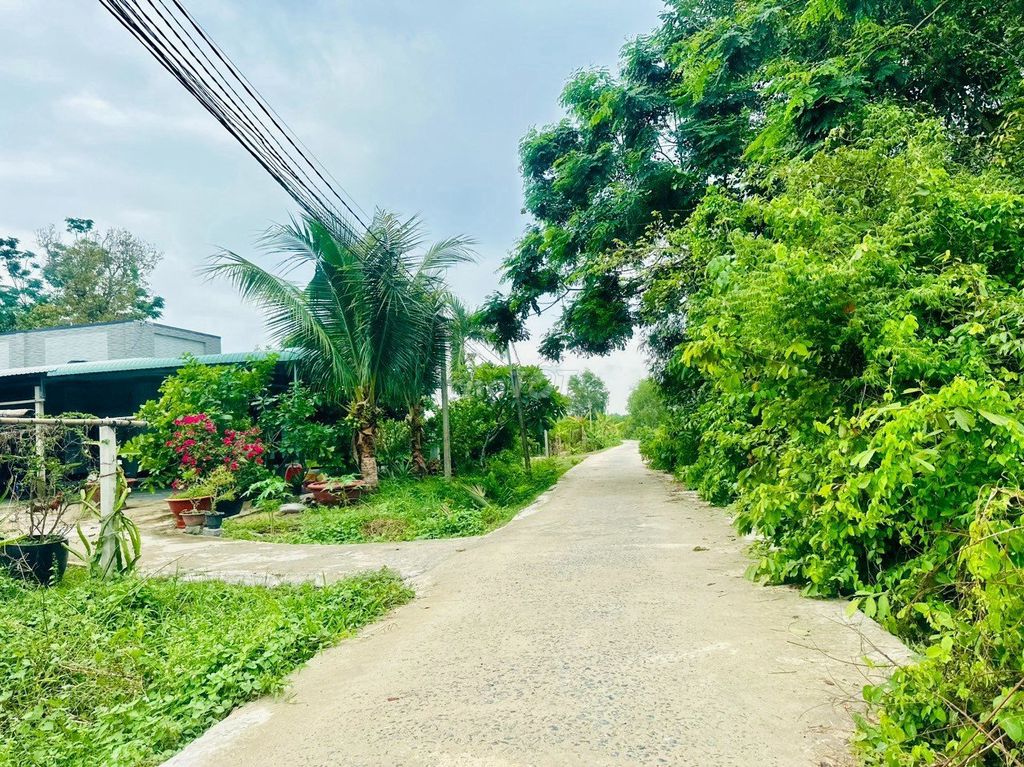 4328100 ảnh đại diện 2