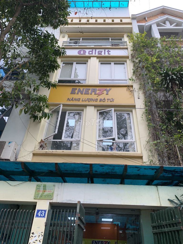 4332515 ảnh đại diện 1
