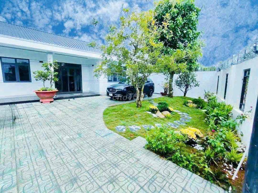 4329674 ảnh đại diện 1