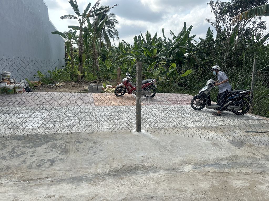 4329373 ảnh đại diện 1