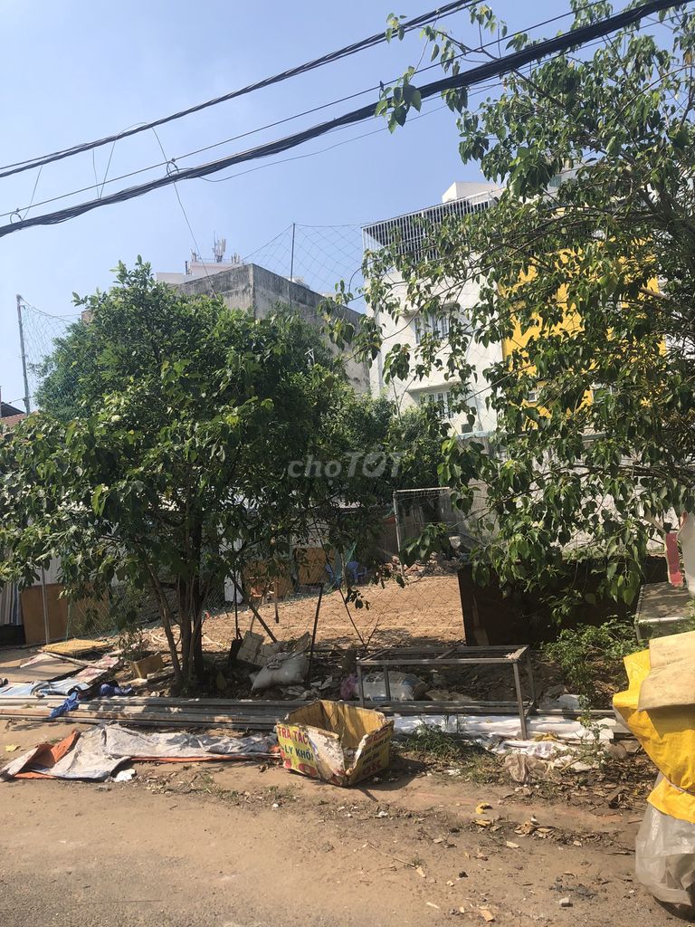4331120 ảnh đại diện 2