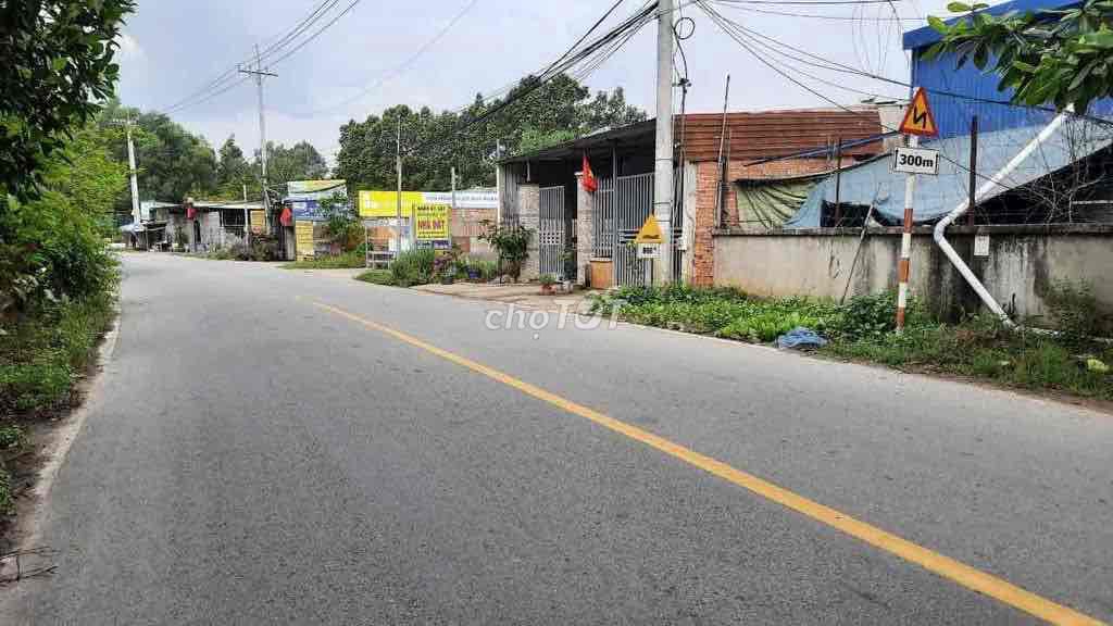4330189 ảnh đại diện 2