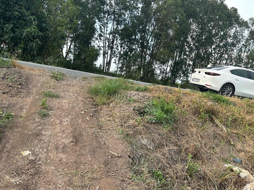4329784 ảnh đại diện 1