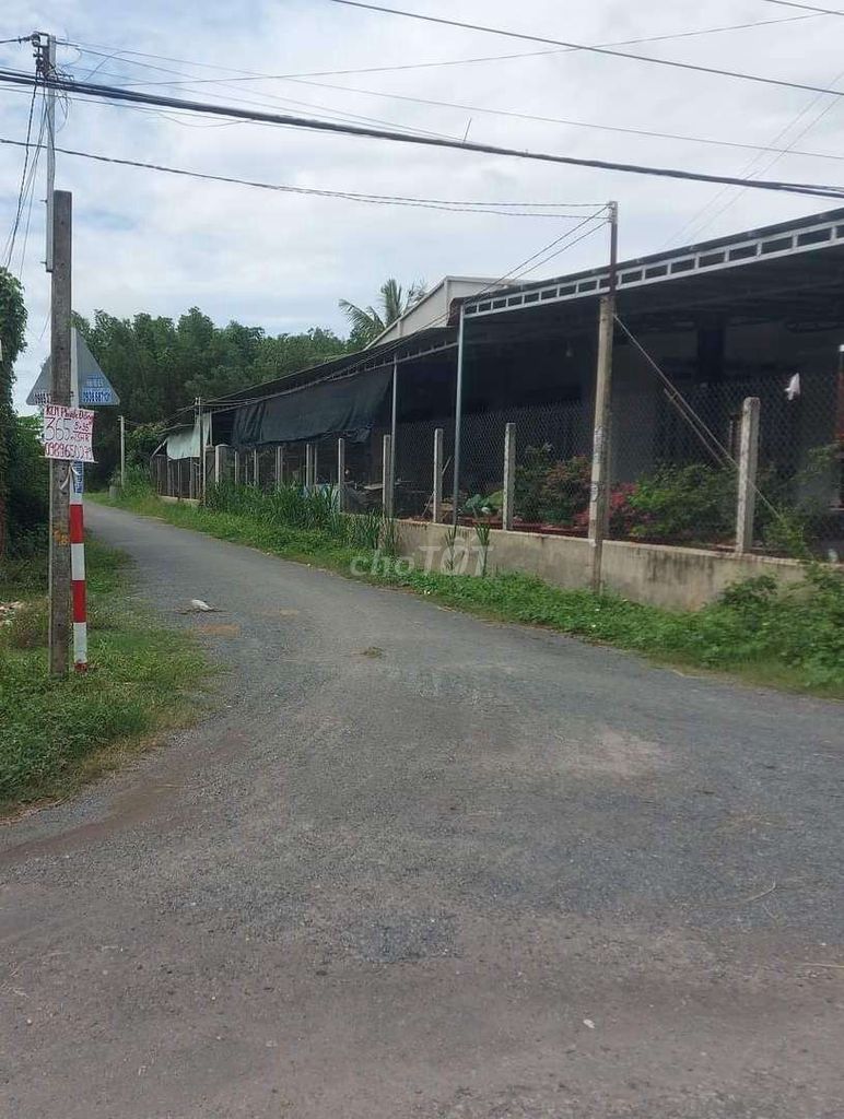 4327499 ảnh đại diện 2