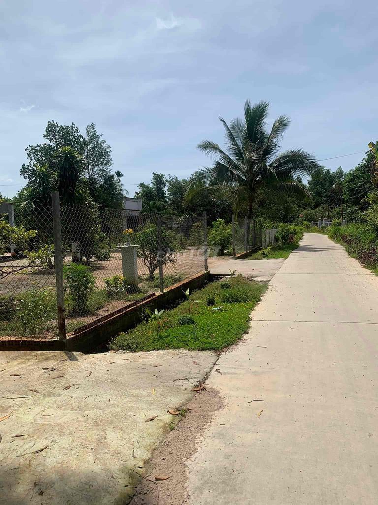 4330545 ảnh đại diện 1