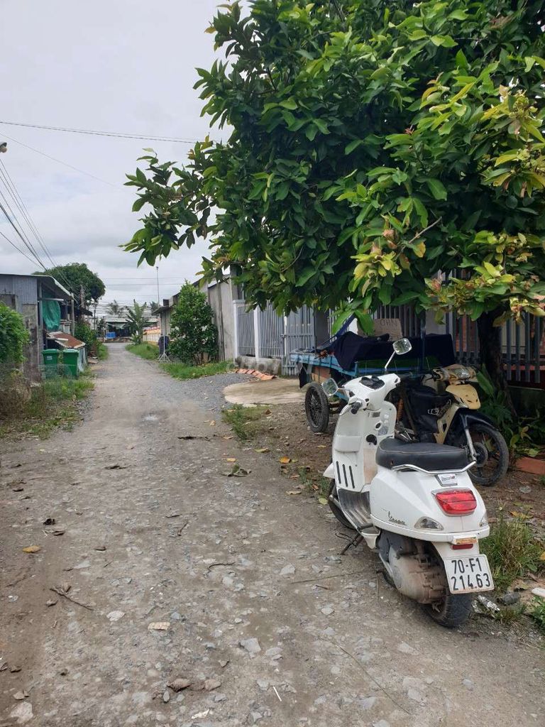 4330770 ảnh đại diện 2