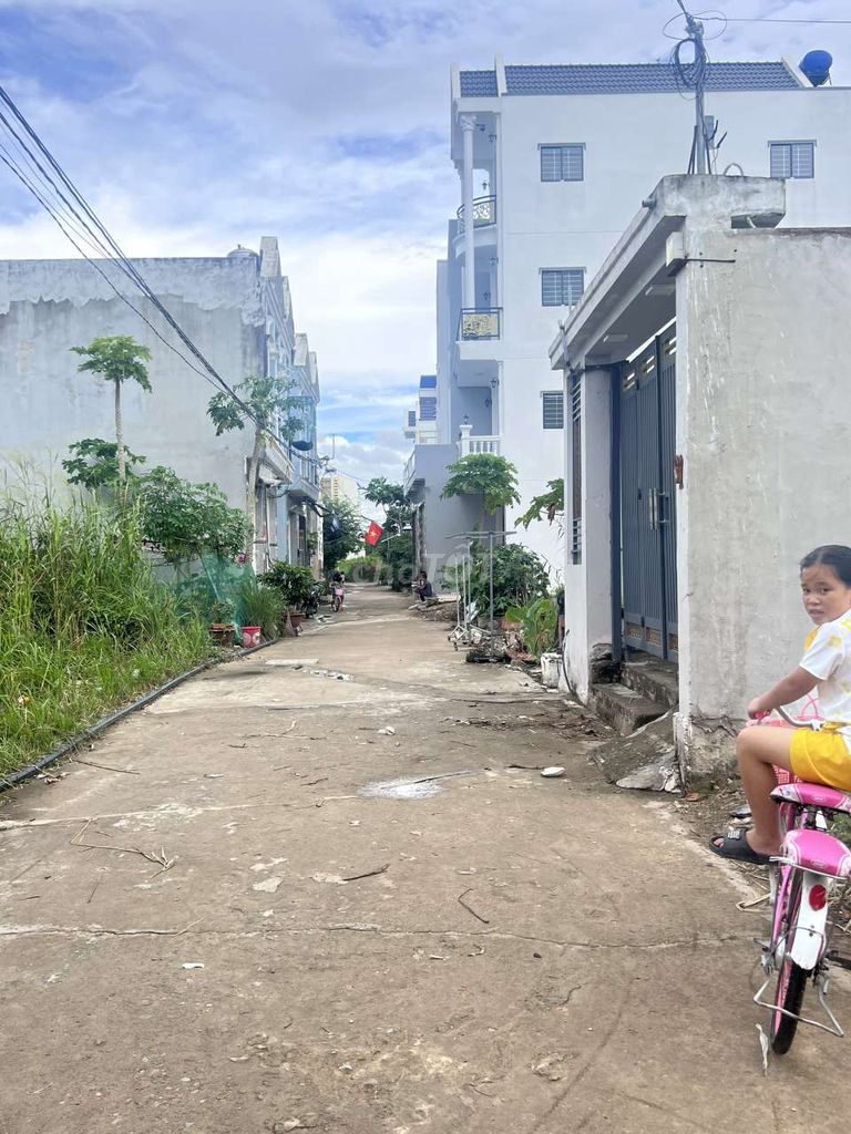 4335372 ảnh đại diện 1